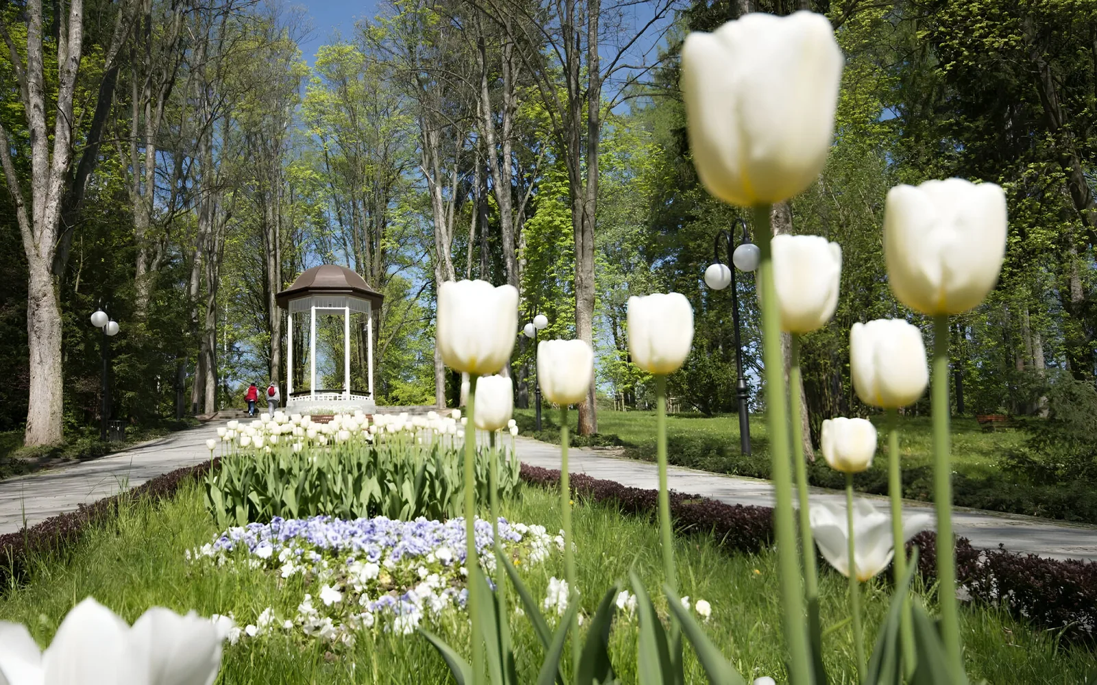 Park Zdrojowy w Polanicy-Zdroju